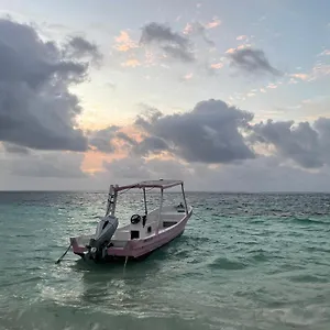  Guest house Home's Jungle Puerto Morelos 20 Minutes From The Airport